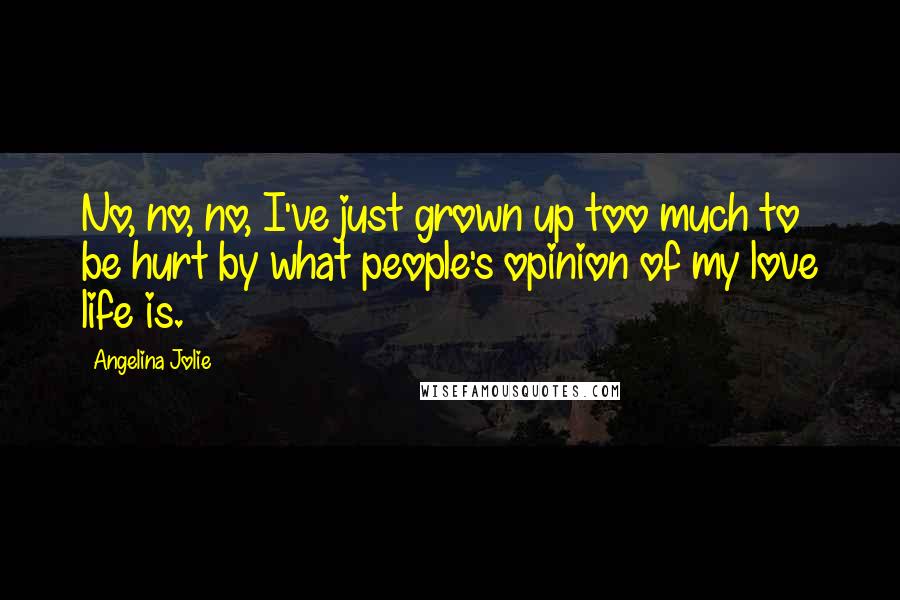 Angelina Jolie Quotes: No, no, no, I've just grown up too much to be hurt by what people's opinion of my love life is.