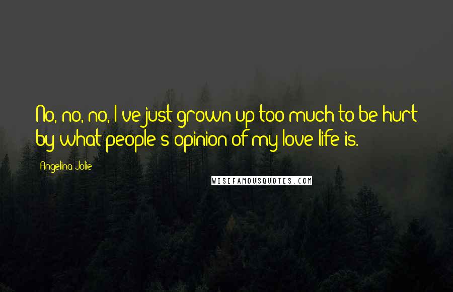 Angelina Jolie Quotes: No, no, no, I've just grown up too much to be hurt by what people's opinion of my love life is.
