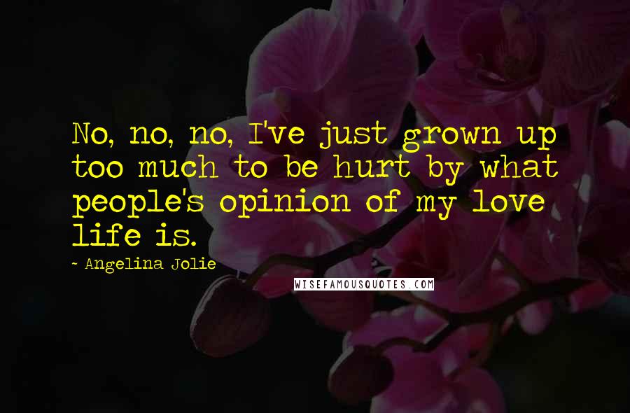 Angelina Jolie Quotes: No, no, no, I've just grown up too much to be hurt by what people's opinion of my love life is.