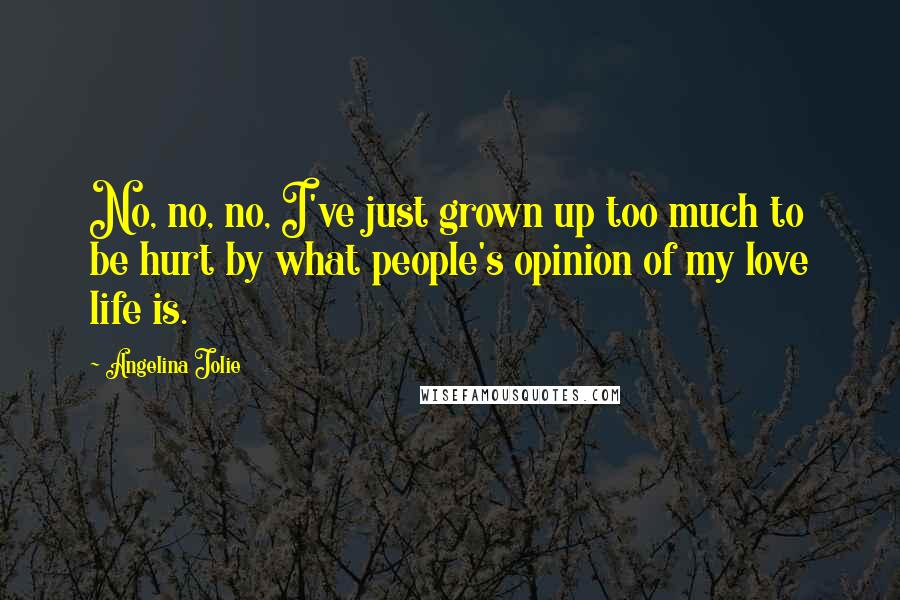 Angelina Jolie Quotes: No, no, no, I've just grown up too much to be hurt by what people's opinion of my love life is.