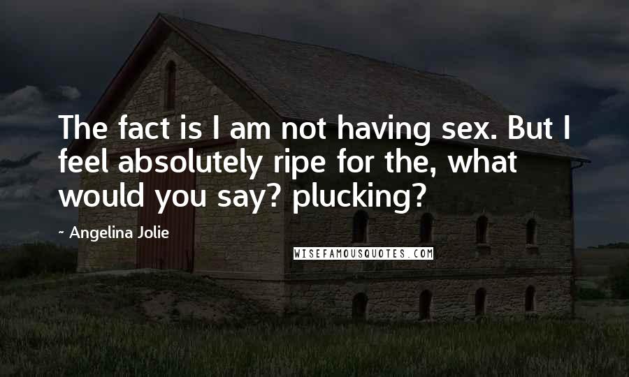 Angelina Jolie Quotes: The fact is I am not having sex. But I feel absolutely ripe for the, what would you say? plucking?