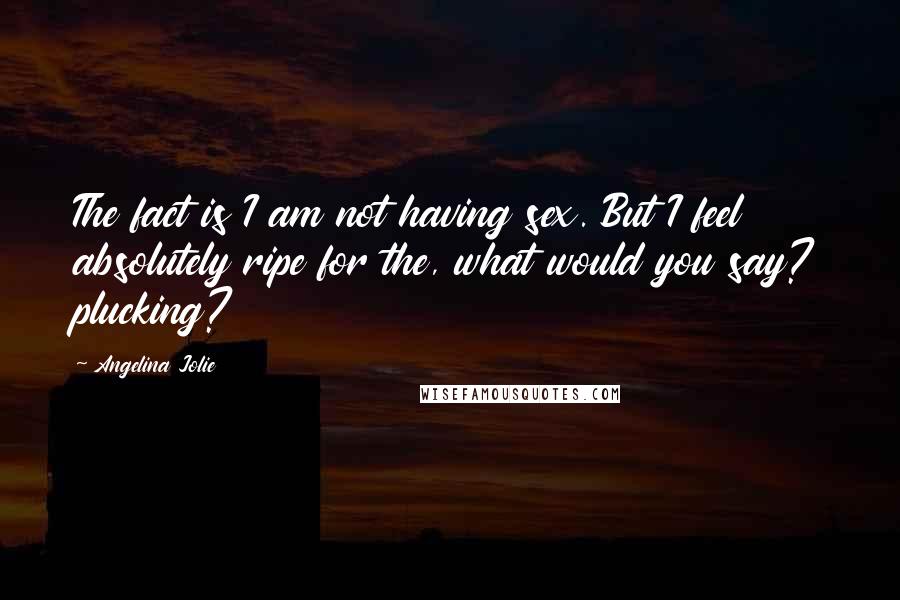 Angelina Jolie Quotes: The fact is I am not having sex. But I feel absolutely ripe for the, what would you say? plucking?