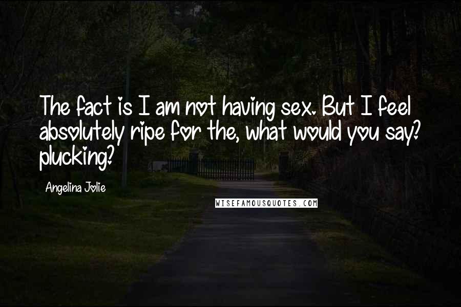 Angelina Jolie Quotes: The fact is I am not having sex. But I feel absolutely ripe for the, what would you say? plucking?