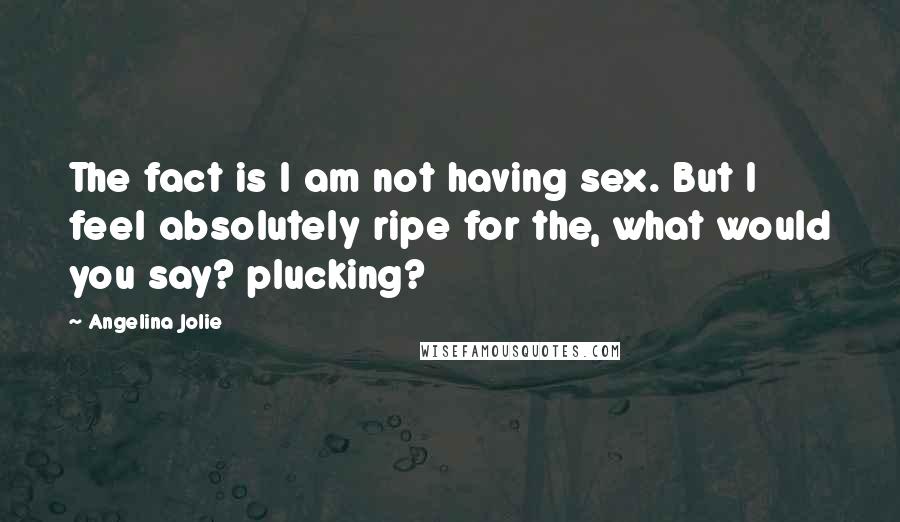 Angelina Jolie Quotes: The fact is I am not having sex. But I feel absolutely ripe for the, what would you say? plucking?