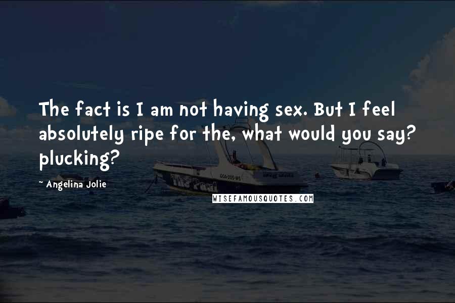 Angelina Jolie Quotes: The fact is I am not having sex. But I feel absolutely ripe for the, what would you say? plucking?