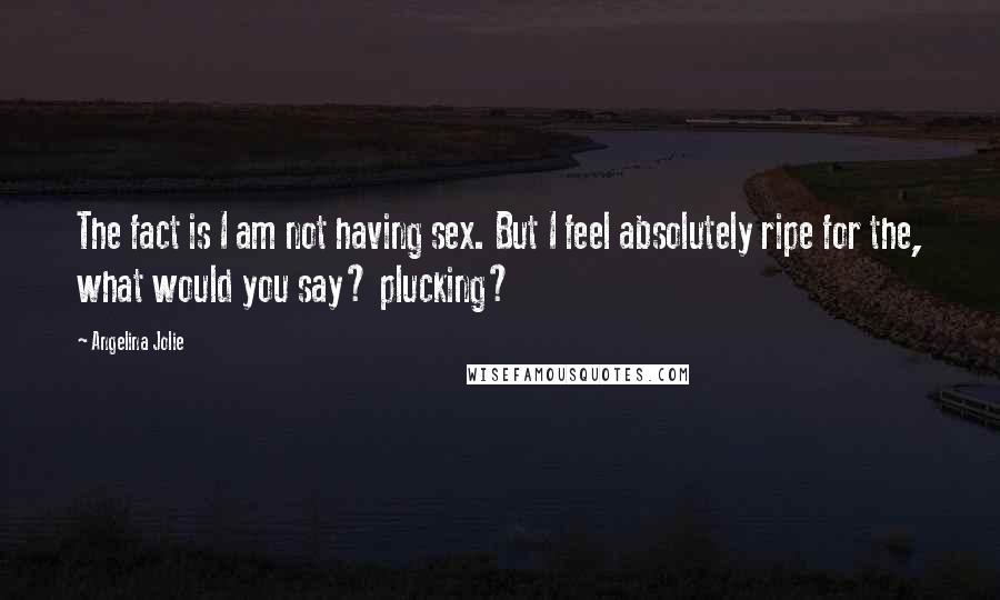 Angelina Jolie Quotes: The fact is I am not having sex. But I feel absolutely ripe for the, what would you say? plucking?