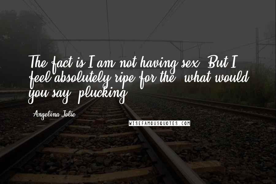 Angelina Jolie Quotes: The fact is I am not having sex. But I feel absolutely ripe for the, what would you say? plucking?