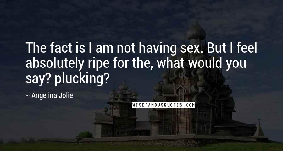 Angelina Jolie Quotes: The fact is I am not having sex. But I feel absolutely ripe for the, what would you say? plucking?