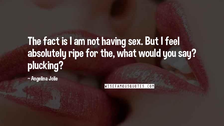 Angelina Jolie Quotes: The fact is I am not having sex. But I feel absolutely ripe for the, what would you say? plucking?