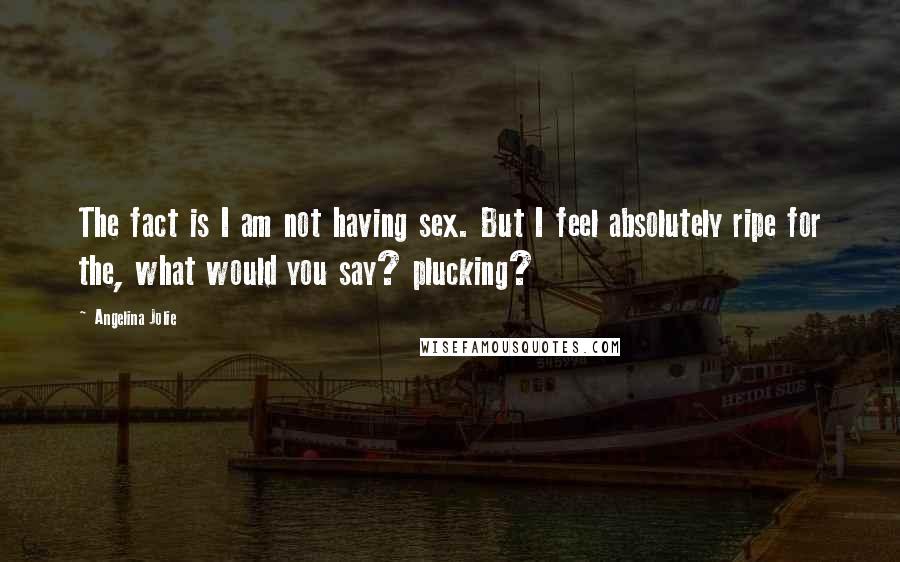 Angelina Jolie Quotes: The fact is I am not having sex. But I feel absolutely ripe for the, what would you say? plucking?