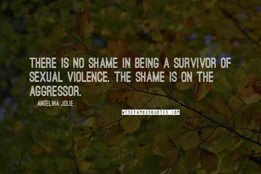 Angelina Jolie Quotes: There is no shame in being a survivor of sexual violence. The shame is on the aggressor.
