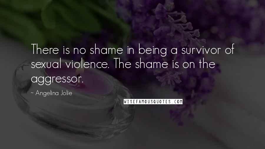 Angelina Jolie Quotes: There is no shame in being a survivor of sexual violence. The shame is on the aggressor.