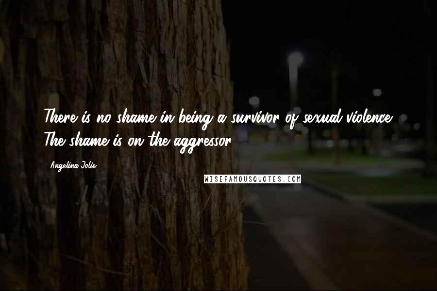 Angelina Jolie Quotes: There is no shame in being a survivor of sexual violence. The shame is on the aggressor.