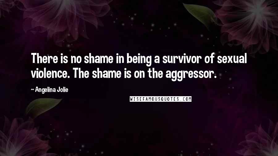 Angelina Jolie Quotes: There is no shame in being a survivor of sexual violence. The shame is on the aggressor.