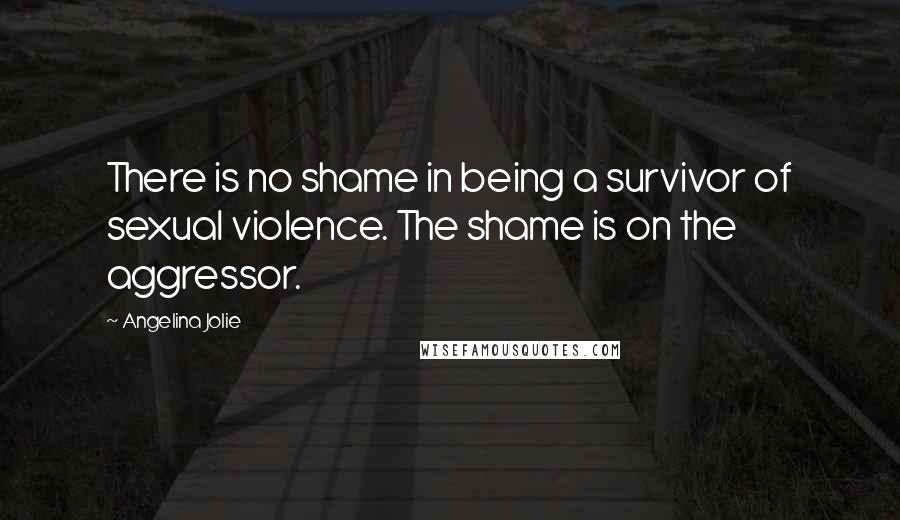 Angelina Jolie Quotes: There is no shame in being a survivor of sexual violence. The shame is on the aggressor.