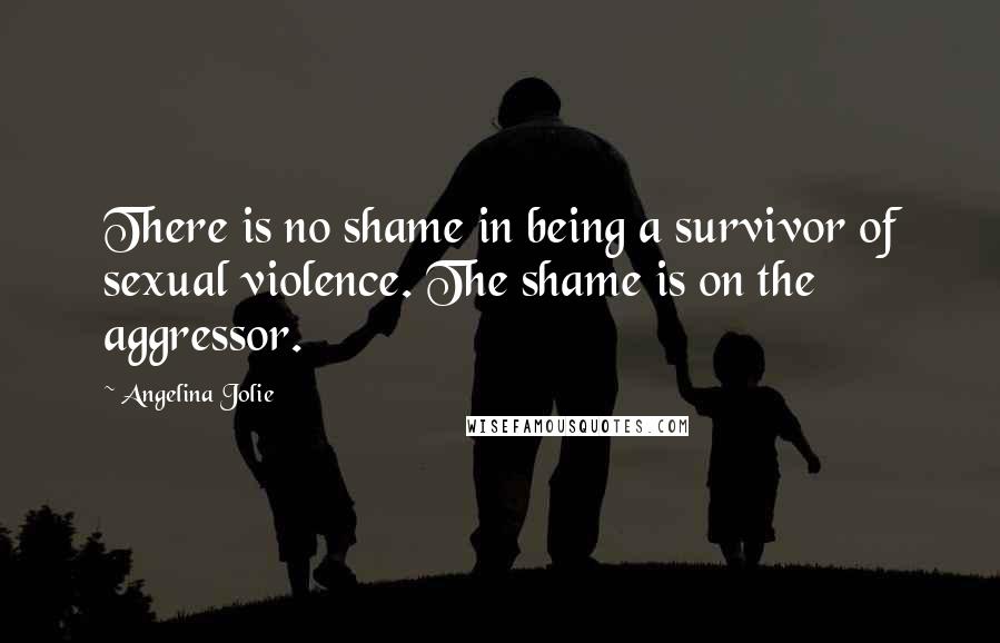 Angelina Jolie Quotes: There is no shame in being a survivor of sexual violence. The shame is on the aggressor.