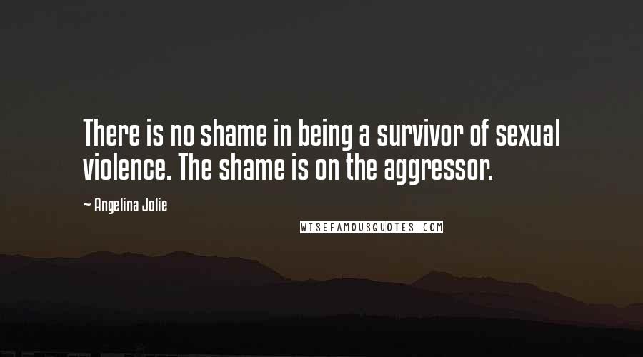 Angelina Jolie Quotes: There is no shame in being a survivor of sexual violence. The shame is on the aggressor.