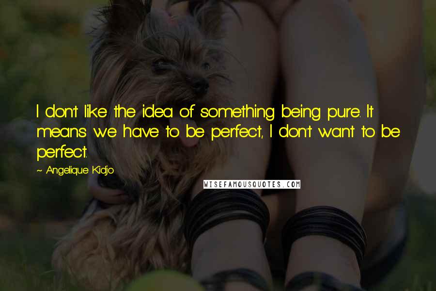 Angelique Kidjo Quotes: I don't like the idea of something being pure. It means we have to be perfect, I don't want to be perfect.