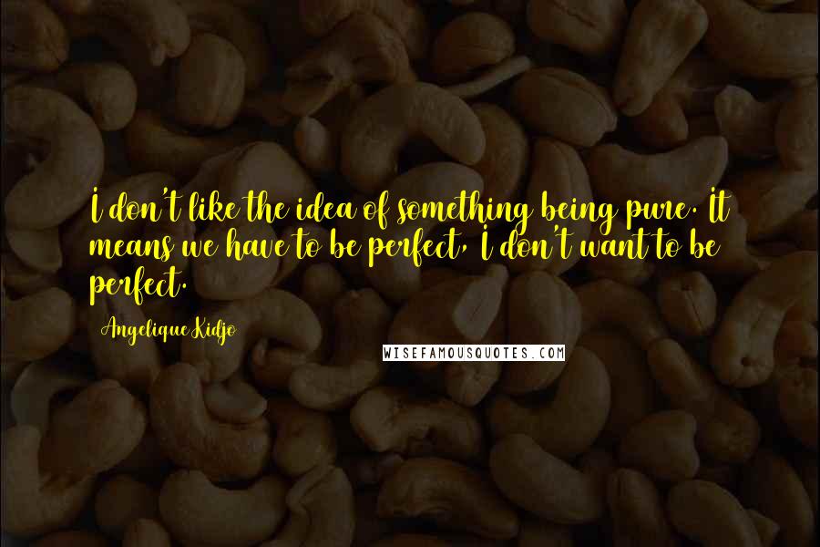 Angelique Kidjo Quotes: I don't like the idea of something being pure. It means we have to be perfect, I don't want to be perfect.