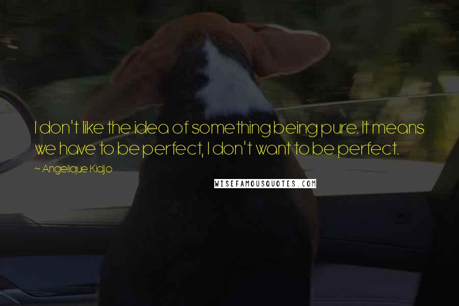 Angelique Kidjo Quotes: I don't like the idea of something being pure. It means we have to be perfect, I don't want to be perfect.