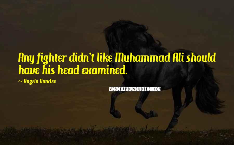 Angelo Dundee Quotes: Any fighter didn't like Muhammad Ali should have his head examined.