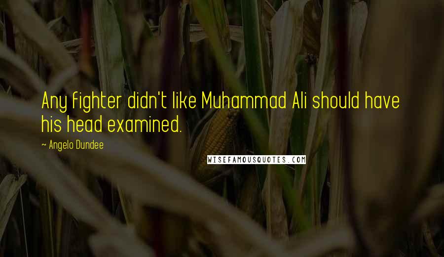 Angelo Dundee Quotes: Any fighter didn't like Muhammad Ali should have his head examined.