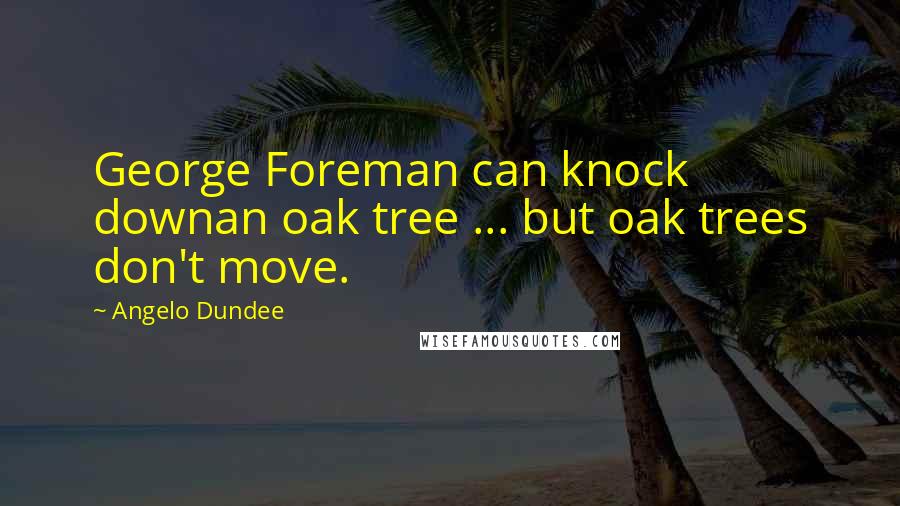 Angelo Dundee Quotes: George Foreman can knock downan oak tree ... but oak trees don't move.