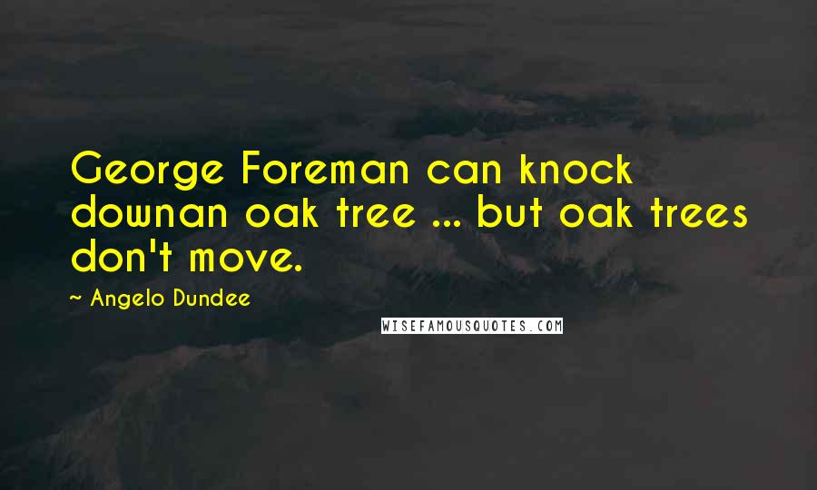 Angelo Dundee Quotes: George Foreman can knock downan oak tree ... but oak trees don't move.