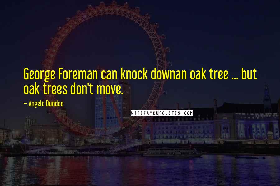 Angelo Dundee Quotes: George Foreman can knock downan oak tree ... but oak trees don't move.