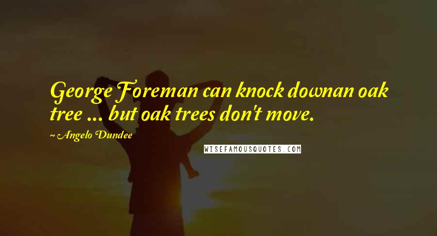 Angelo Dundee Quotes: George Foreman can knock downan oak tree ... but oak trees don't move.