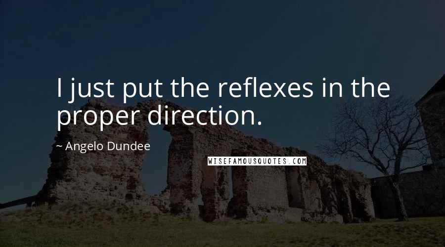 Angelo Dundee Quotes: I just put the reflexes in the proper direction.