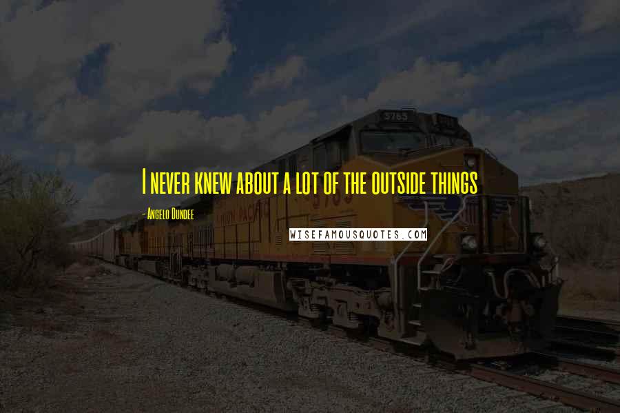 Angelo Dundee Quotes: I never knew about a lot of the outside things