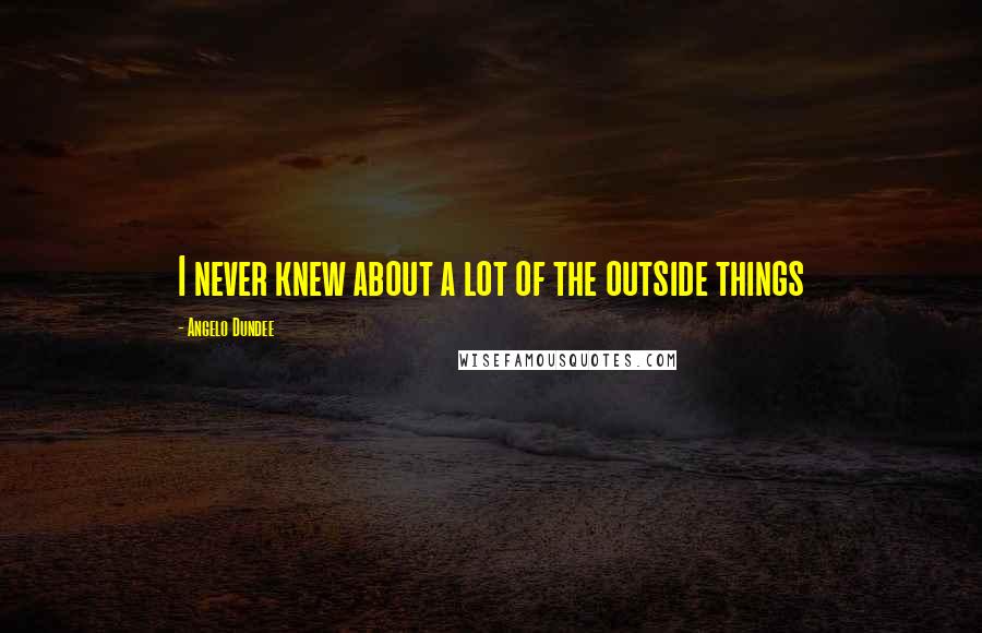 Angelo Dundee Quotes: I never knew about a lot of the outside things