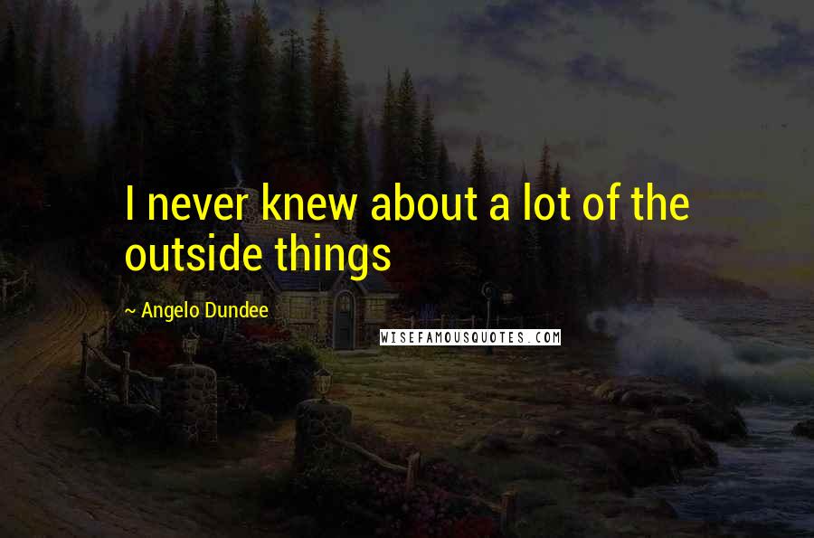 Angelo Dundee Quotes: I never knew about a lot of the outside things