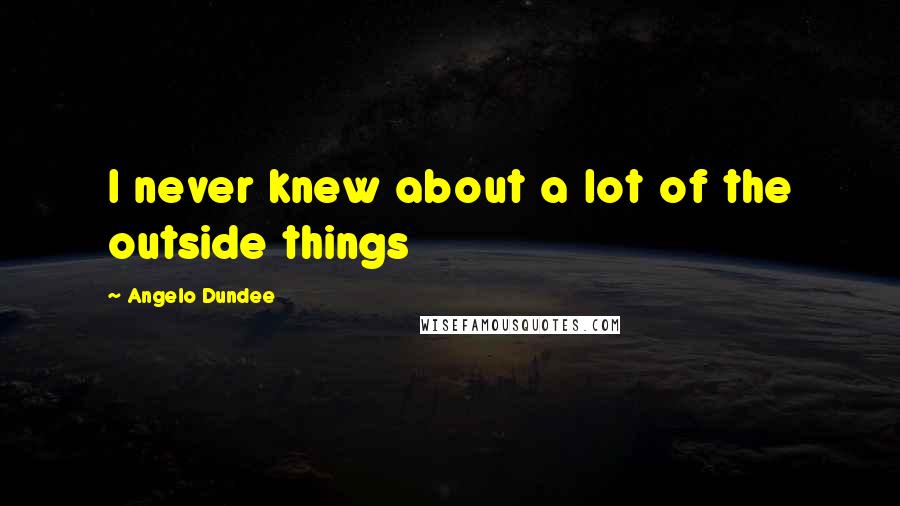 Angelo Dundee Quotes: I never knew about a lot of the outside things