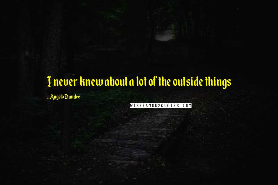 Angelo Dundee Quotes: I never knew about a lot of the outside things