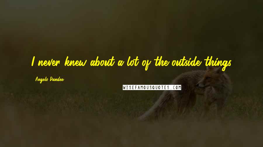 Angelo Dundee Quotes: I never knew about a lot of the outside things