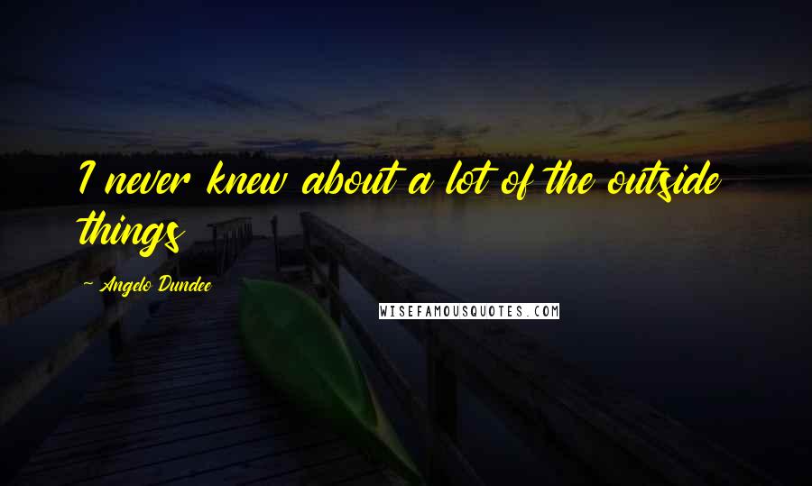 Angelo Dundee Quotes: I never knew about a lot of the outside things