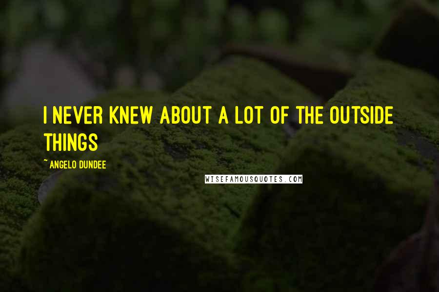 Angelo Dundee Quotes: I never knew about a lot of the outside things