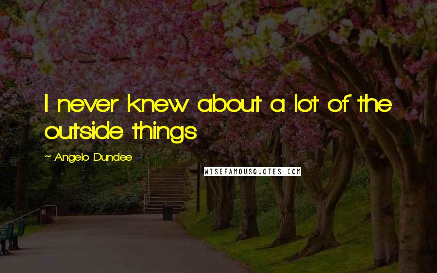 Angelo Dundee Quotes: I never knew about a lot of the outside things