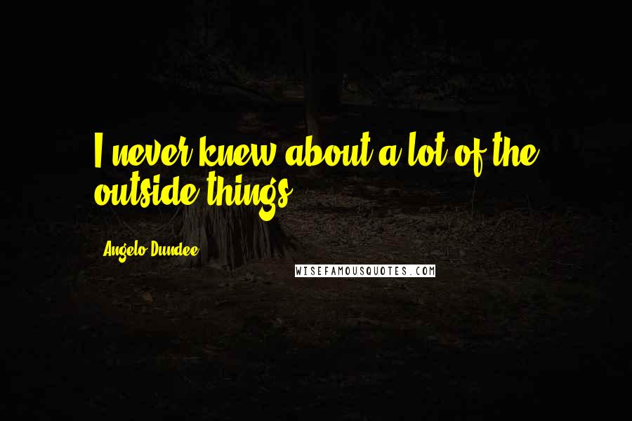 Angelo Dundee Quotes: I never knew about a lot of the outside things