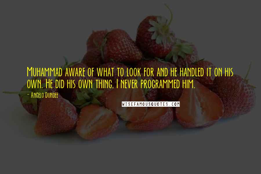 Angelo Dundee Quotes: Muhammad aware of what to look for and he handled it on his own. He did his own thing. I never programmed him.