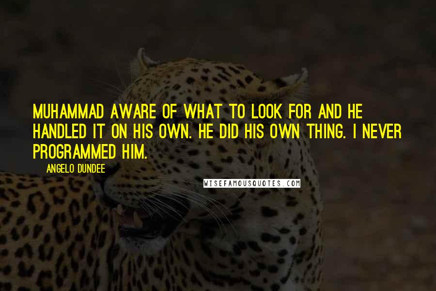 Angelo Dundee Quotes: Muhammad aware of what to look for and he handled it on his own. He did his own thing. I never programmed him.