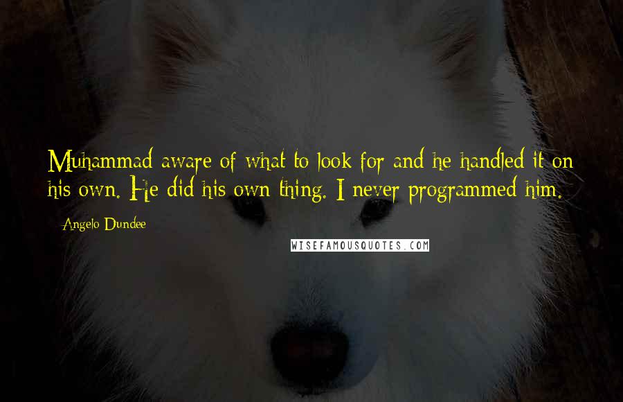 Angelo Dundee Quotes: Muhammad aware of what to look for and he handled it on his own. He did his own thing. I never programmed him.