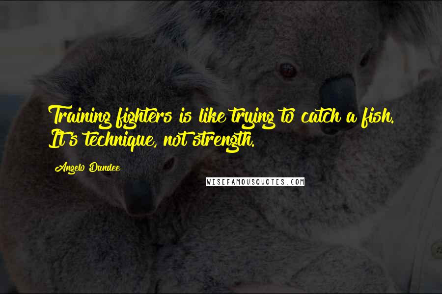 Angelo Dundee Quotes: Training fighters is like trying to catch a fish. It's technique, not strength.