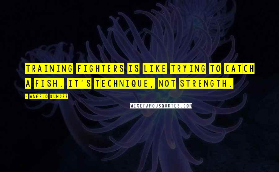 Angelo Dundee Quotes: Training fighters is like trying to catch a fish. It's technique, not strength.