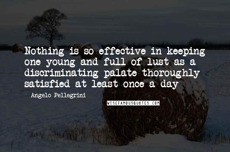 Angelo Pellegrini Quotes: Nothing is so effective in keeping one young and full of lust as a discriminating palate thoroughly satisfied at least once a day