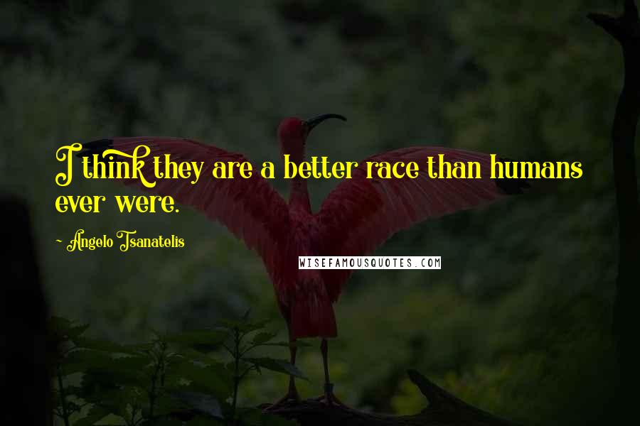 Angelo Tsanatelis Quotes: I think they are a better race than humans ever were.