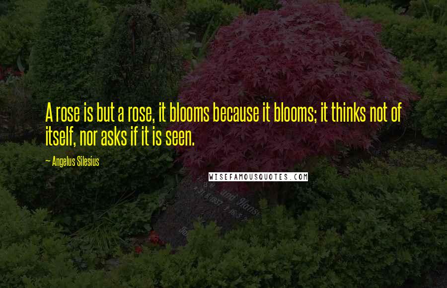 Angelus Silesius Quotes: A rose is but a rose, it blooms because it blooms; it thinks not of itself, nor asks if it is seen.