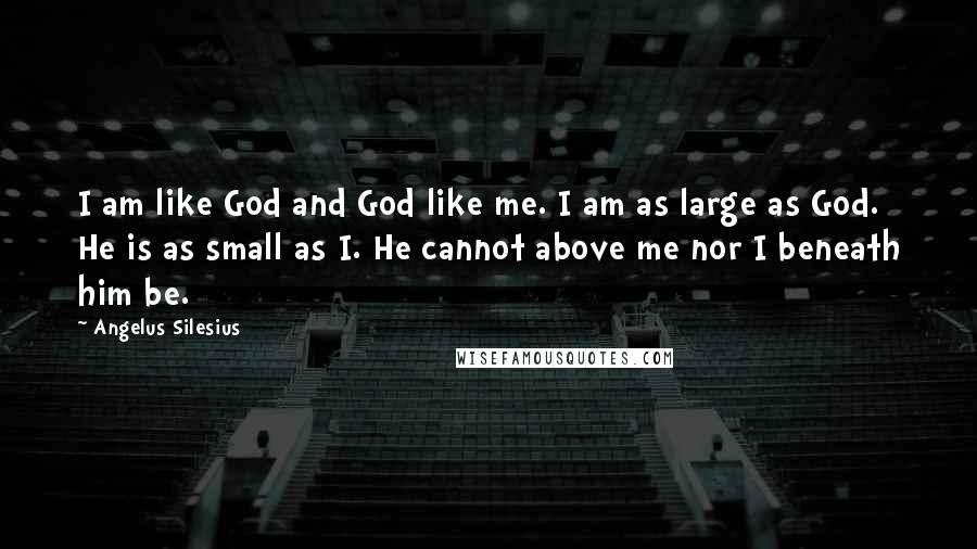 Angelus Silesius Quotes: I am like God and God like me. I am as large as God. He is as small as I. He cannot above me nor I beneath him be.